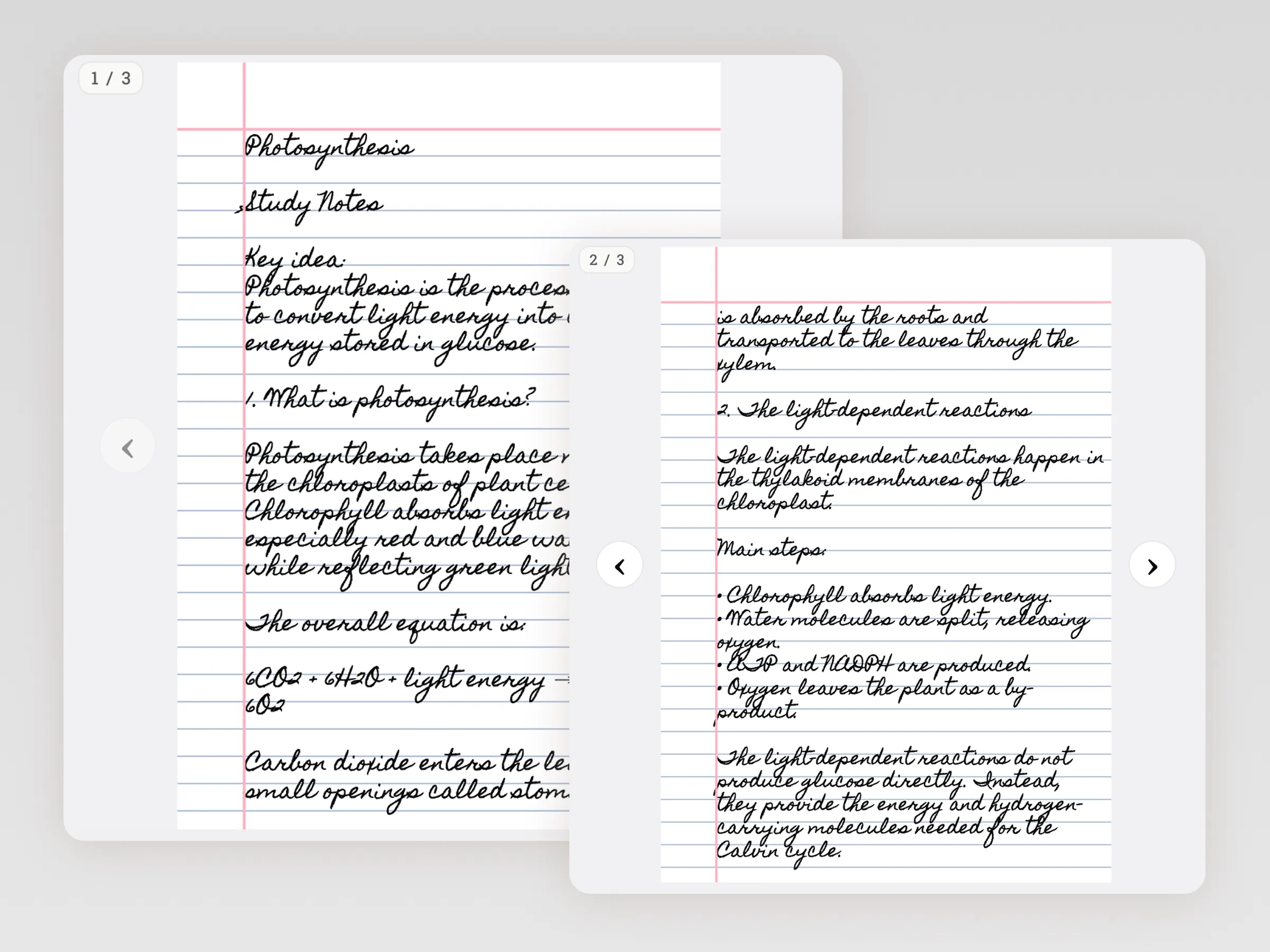 preview of typed text converted into handwritten pages